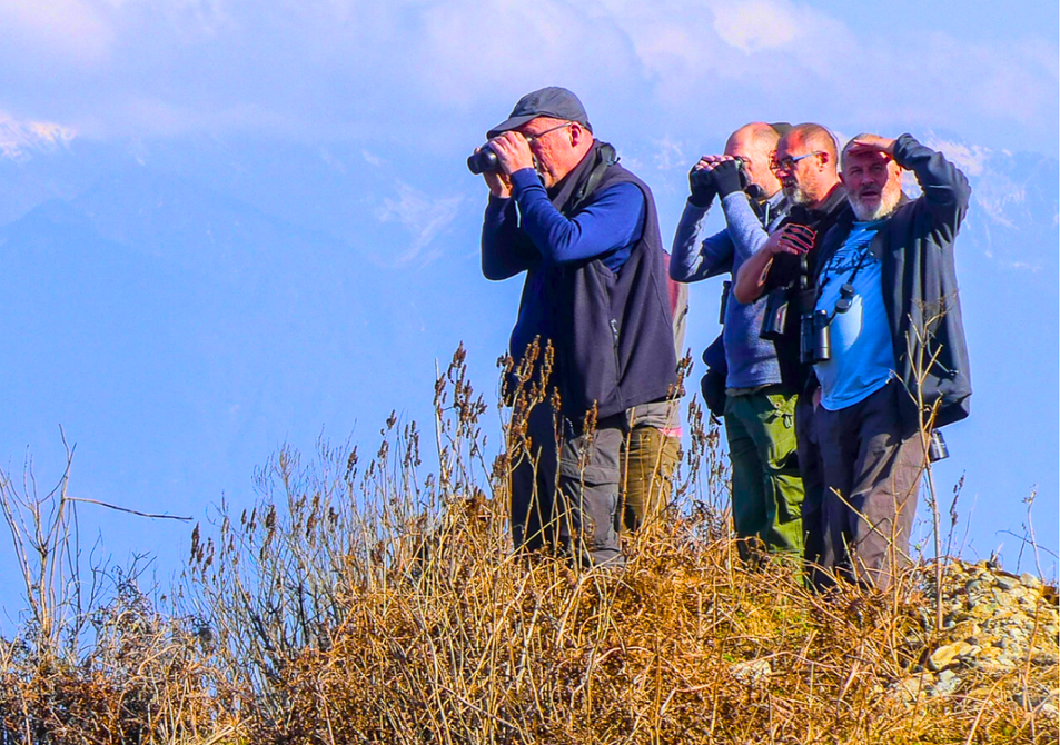 Birding In Pangot